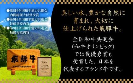 A5等級 飛騨牛トロブロック 400g（約100g×4） 炙り握り寿司用 | 飛騨牛 FH008