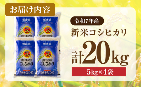 2週間以内に発送 無洗米 新米 コシヒカリ 20kg 期間限定 日南市産 お米 ご飯 ライス 国産 令和6年産 人気 食品 精米 白米 こしひかり おにぎり お弁当 炊き込みご飯 雑炊 ギフト 贈り物