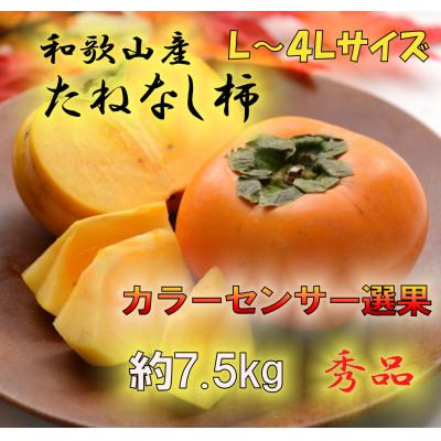 ふるさと納税 九度山町 【2026年発送】JAわかやま(紀北地域)のたねなし柿 秀品 約7.5Kg L〜4Lサイズ