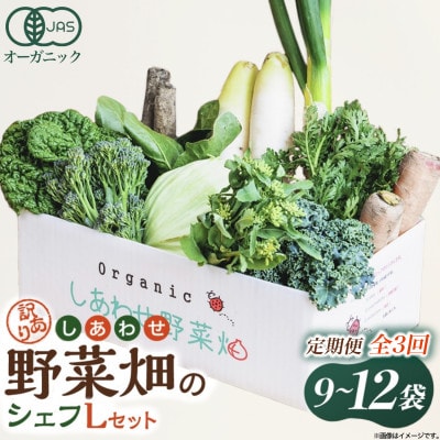 【毎月定期便】しあわせ野菜畑のシェフLセット(訳あり規格外の有機野菜を一部使用)全3回【配送不可地域：離島・北海道・沖縄県・四国・九州】