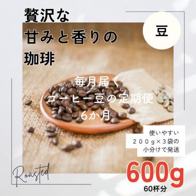 ふるさと納税 高梁市 【毎月定期便】6ヶ月 贅沢な甘みと香りの コーヒー 600g(200g×3袋) 豆のまま全6回
