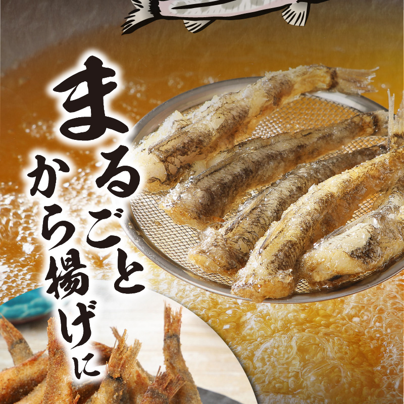 【訳あり】天然めひかり（極小サイズ） 500g×4袋　計2㎏　280尾以上 N124-ZA3330