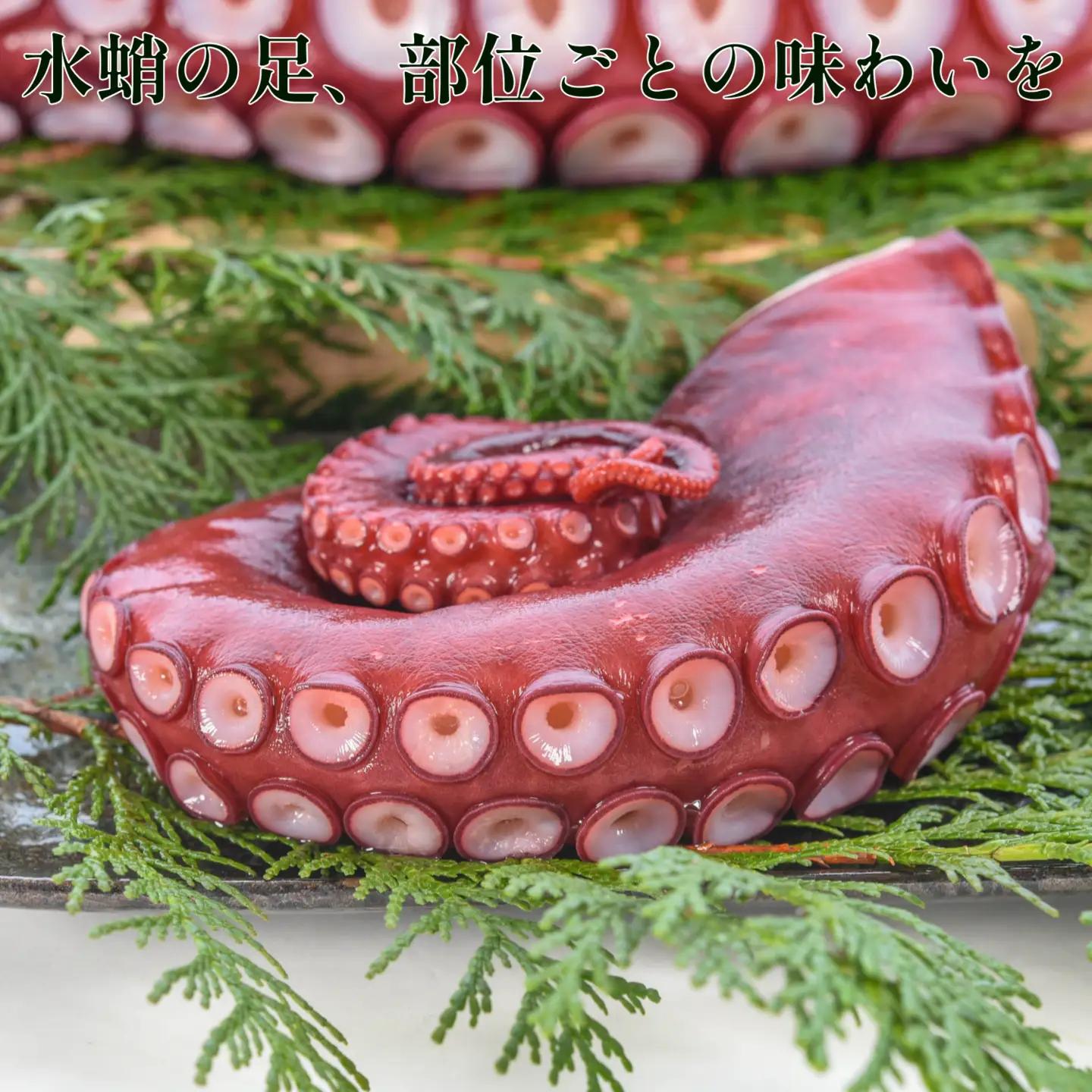 【北海道根室産】ボイル水たこ足先12P(計4.5kg) D-20004