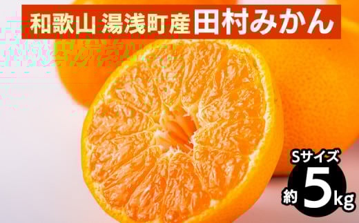 和歌山 湯浅町産 田村みかん 5kg【Sサイズ】 ※2025年11月中旬～2026年1月中旬頃に順次発送予定