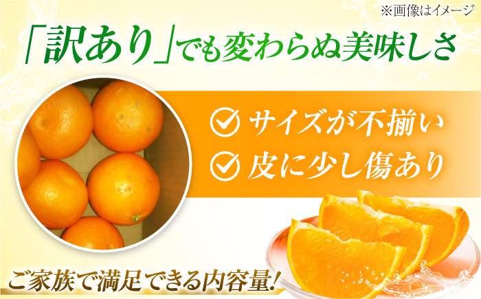 みかん 訳あり せとか 約3kg サイズ不揃い【1月下旬から2月中旬まで順次発送】/ フルーツ 果物 蜜柑 ミカン オレンジ 訳あり 訳アリ 小玉 甘い 先行予約 3kg 愛媛 / 愛媛県砥部町/株式