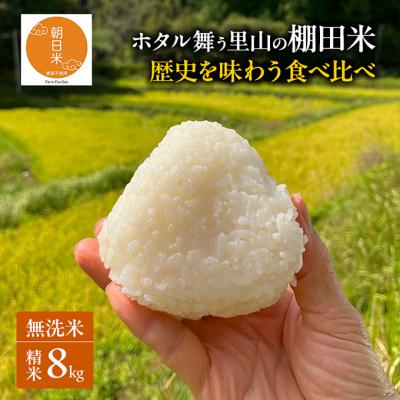 ふるさと納税 赤磐市 先行受付 伝統稲と現代稲食べ比べ 無洗米 精米8kg 令和8年産[NO5765-1519]