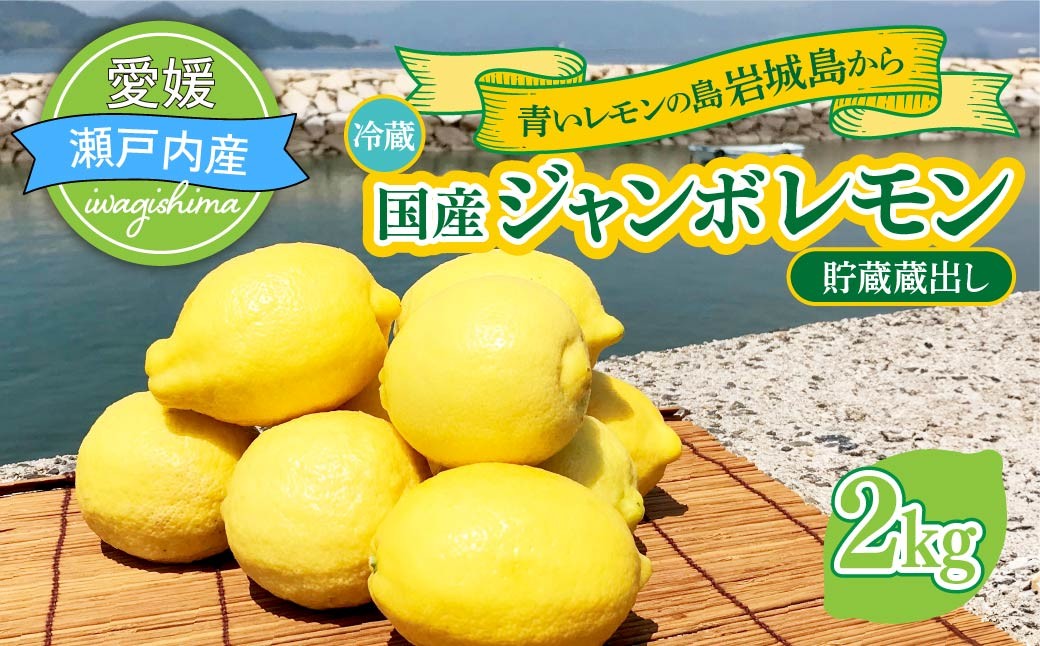 
                  青いレモンの島　貯蔵蔵出しジャンボレモン 2kg 冷蔵でお届け レモン 国産レモン れもん イエローレモン国産
                