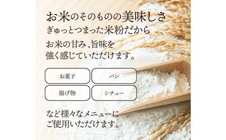 米粉 2種セット こなだもん ひのひかり 2kg 米粉