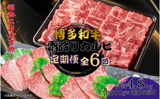 
            博多和牛　霜降りカルビ　全6回定期便　約800ｇ×6回
          