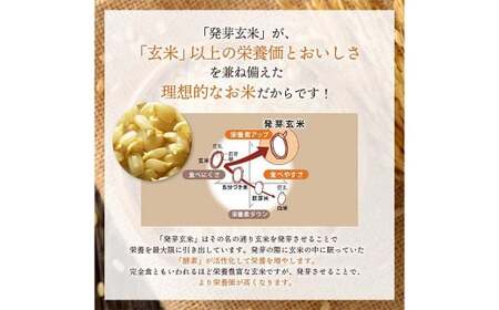 特Aひとめぼれ米 残留農薬ゼロ 発芽玄米 1.5kg×2袋(3.0kg) 