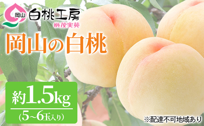 桃 2025年 先行予約 白桃 1.5kg 5～6玉 もも モモ 岡山 国産 フルーツ 果物 ギフト 桃茂実苑 