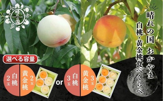 
                  【2027年発送分 先行予約】【選べる容量】晴れの国おかやま 白桃・黄金桃食べ比べ 4玉 or 6玉【8月下旬～9月上旬発送】【021-a024/021-a025】桃 もも モモ はくとう おうごんとう フルーツ 果物 朝採り旬 産地直送 産直 送料無料 鏡野町
                