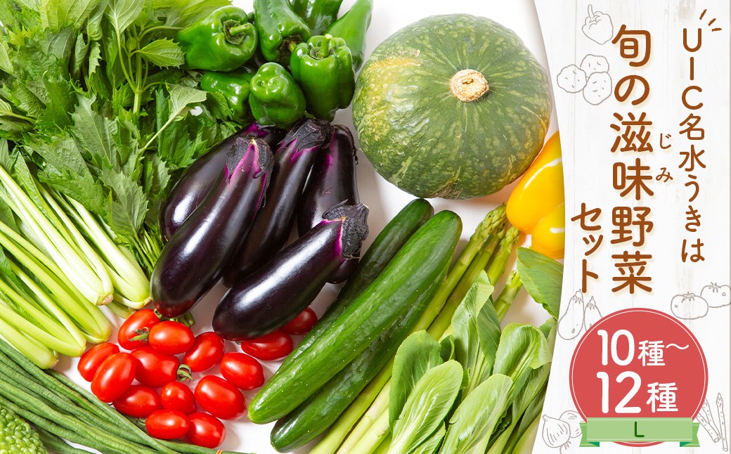 
                  UIC 名水うきは 旬の滋味（じみ）野菜セットL
                