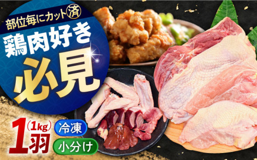 【 高級 地鶏 】瀬戸内育ち 地鶏 【冷凍】 一黒シャモ 一羽 パック 合計約1kg 鶏肉 精肉 鳥肉 とり肉 とりにく チキン 鳥 もも むね モモ ムネ もも肉 むね肉 若鶏 名古屋コーチン 地鶏 地鶏肉 小分け パック 便利 焼き鳥 からあげ カラアゲ 唐揚げ ステーキ チキンステーキ BBQ バーベキュー 人気 高品質 好評 広島県産 江田島市/ポークアンドチキン江田島 [XAH004]