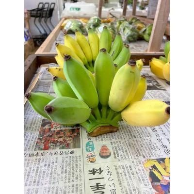 ふるさと納税 糸満市 【畑人市場】 アップルバナナ 2.5kg〜3kg |  | 02