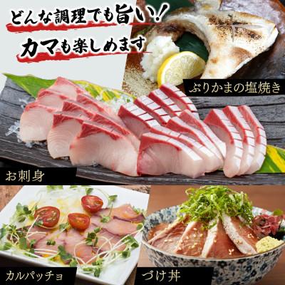 ふるさと納税 串間市 活じめ!黒瀬ブリの生鮮ぶりフィレー(1.5kg前後)【KRBF15】 |  | 02