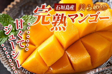［予約受付］美ら姫マンゴー2kg（完熟・アーウィン種）≪2025年７月上旬～順次発送≫【 産地直送 沖縄県 石垣市 マンゴー フルーツ 果物 南国 石垣島 】CB-2 