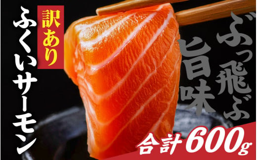 【訳あり】国産 ふくいサーモン 切り落とし（小分けパック）約600g [A-065060] / 訳アリ 鮭 刺身 切落し 切身 皮付き サーモン 小分け パック 刺し身 切り身 シャケ サケ 冷凍 弁当 フィレ ご当地 骨抜き 骨取り