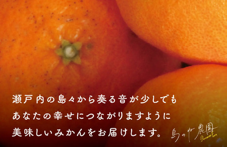 【訳あり】甘平　島のね農園４ｋｇ[KB01600]