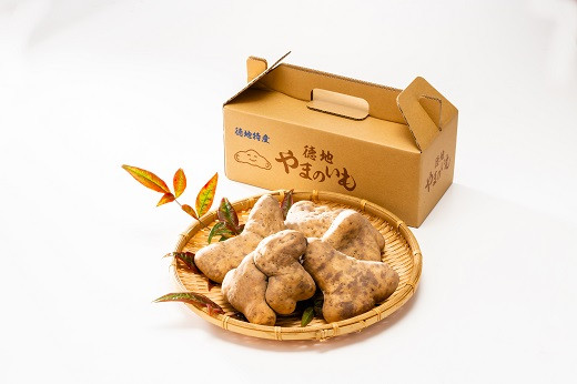 
                  D533 徳地やまのいも箱入り1㎏（秀）
                