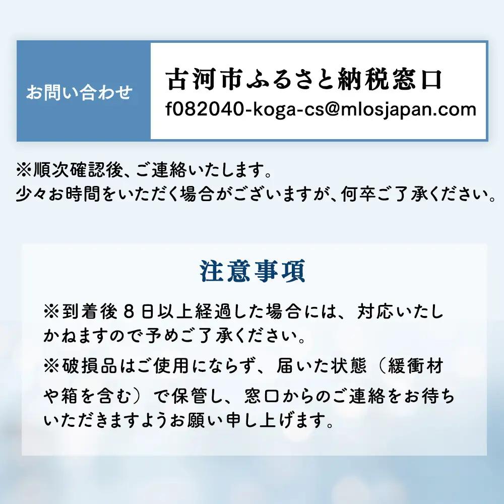 HARIO フィルターインボトル 300ml（スモーキーグリーン）［FIB-30-SG］｜ HARIO ハリオ_BE80