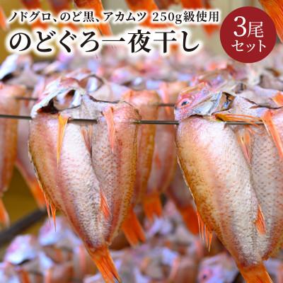 ふるさと納税 京丹後市 のどぐろ一夜干し　(ノドグロ、アカムツ)　250g級使用　干し上がり後　175g以上　3尾セット