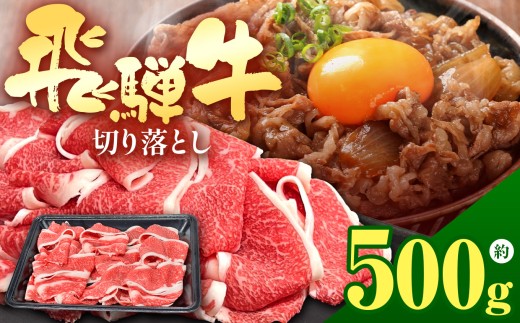 飛騨牛 切り落とし 500g |【 選べる容量 】 飛騨牛 黒毛和牛 牛 国産牛 牛肉 精肉 切り落とし 赤身 炒め物 牛丼 肉じゃが カレー 焼肉 おかず BBQ  贈答 家庭用 おすすめ ジューシー とろける 冷凍 岐阜県 北方町