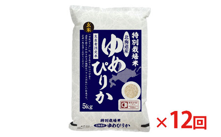 ゆめぴりか玄米特別栽培米 北海道産 ゆめぴりか【5kg】【定期便12回】