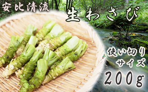 岩手県産 生わさび 使い切りサイズ 200g 【安比清流山葵園】 ／ 山葵 ワサビ わさび 薬味 国産 八幡平市産 産地直送 新鮮 調味料 刺身 ステーキ お肉 蕎麦 和え物 漬け物 刻み おろし 辛味 和食 お寿司 そば 肉の薬味 魚の薬味 そばの薬味 料理 自宅用 家庭用 おすすめ オススメ