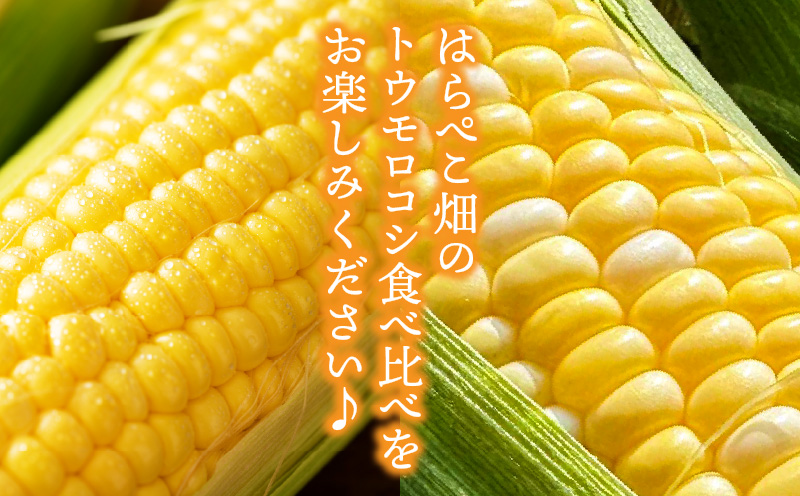 【人気の2品種を食べ比べ】とうもろこし2種各3本×3セット・H112