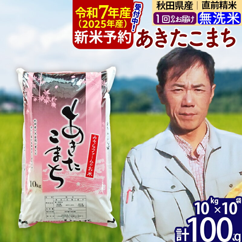 【ふるさと納税】※令和7年産 新米予約※秋田県産 あきたこまち 100kg【無洗米】(10kg袋)【1回のみお届け】2025年産 お米 みそらファーム