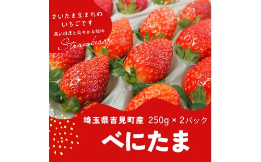 特選「吉見いちご」【べにたま】