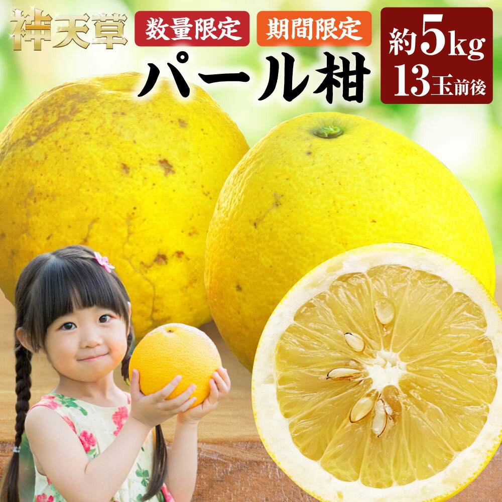 【ふるさと納税】【先行受付】【数量限定】パール柑 約5kg 13玉前後 ぱーるかん 柑橘 フルーツ 果物 くだもの 上天草市産 熊本県産 九州産 国産 送料無料 【2026年2月下旬から3月下旬順次発送】