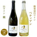 【ふるさと納税】白ワイン・微発泡白ワイン飲み比べ2本セット Chardonnay2022「爽」750ml＆Chardonnay2023「ペティアン」750ml｜ワイン スパークリング 飲み比べ シャルドネ 無添加 無濾過 国産 日本ワイン 愛知県 東浦町 [0703]