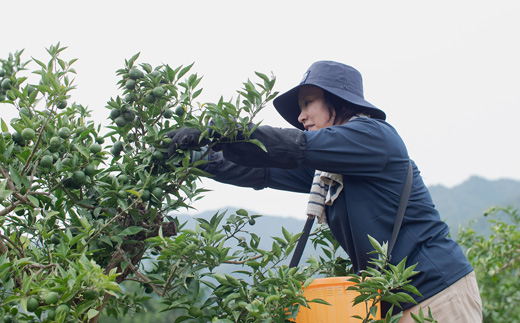 「山神果樹薬草園」すだちのハンドケアセット《30日以内に出荷予定(土日祝除く)》s-1