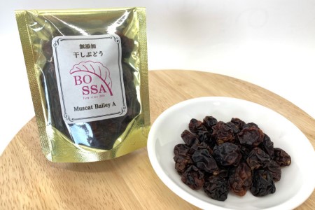 干しぶどうセット 3種食べ比べ 無添加 国産 干しぶどうセット【各40g×1袋 計3袋】