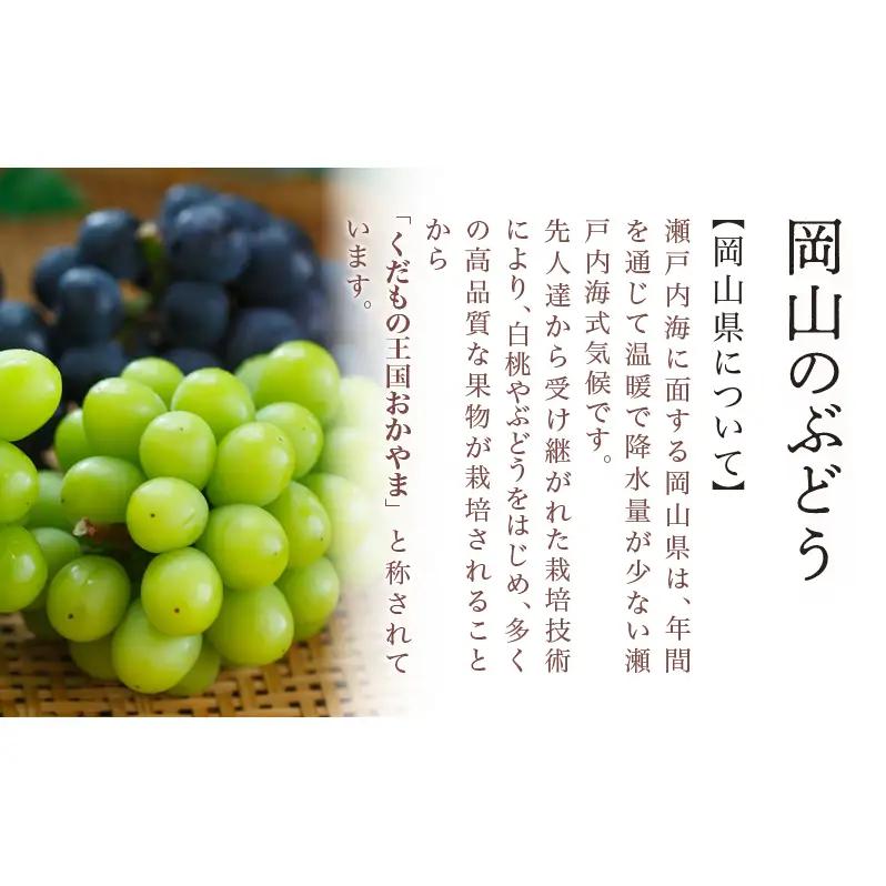 ぶどう 2026年 先行予約 ニュー ピオーネ 4房（1房480g以上）約2kg 岡山県産 ピオーネ