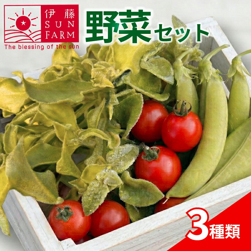 【ふるさと納税】 伊藤SUN FARM 野菜セット ミニトマト スナップエンドウ アイスプラント 期間限定 数量限定 サラダ 野菜 やさい 送料無料 千葉県 旭市 伊藤SUN FARM