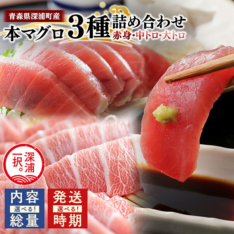 【ふるさと納税】≪ 内容量と発送時期が選べる ≫ 青森県 深浦町産 本マグロ 3種食べ比べセット (赤身・中トロ・大トロ) 600g 1.2kg 1.8kg 【 青森県 深浦町 】 本マグロ 本鮪 マグロ 鮪 赤身 中トロ 大トロ 刺身 青森県産