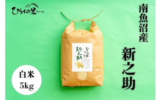 
                  【令和8年産新米】金賞 南魚沼産新之助 白米5kg きらめく大粒！ ひらくの里ファーム【銘柄米 ブランド米 精米 新之助 魚沼産 新潟米 産地直送 お米 米 こめ コメ ご飯 御飯 ごはん】
                