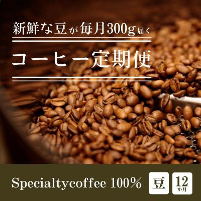 ふるさと納税 豊川市 【毎月定期便】毎月違うコーヒー豆をお届け スペシャルティコーヒー 豆 300g全12回