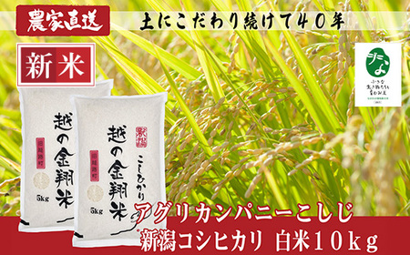 J8-7C101【越の金翔米】新潟県長岡産コシヒカリ10kg【「小さな生き物たちと育むお米」認証品】