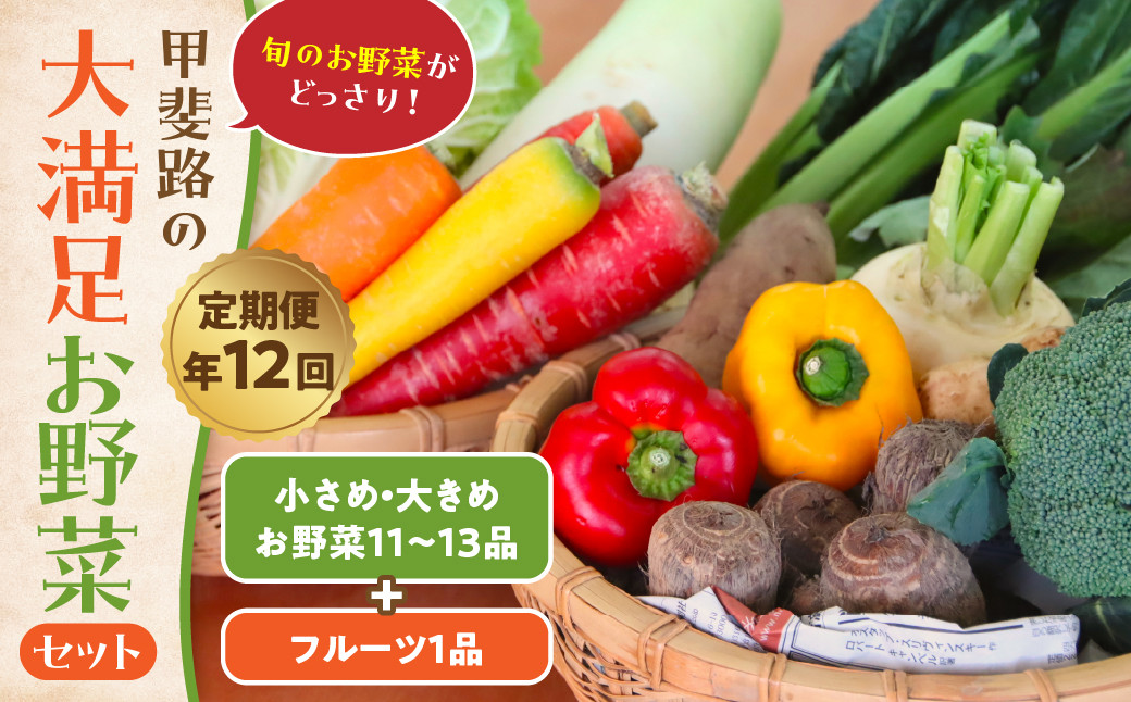 
【定期・年12回】旬のお野菜がどっさり！甲斐路の大満足お野菜セット
