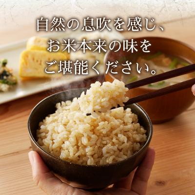 ふるさと納税 焼津市 令和7年産 農薬7割減 特別栽培 にじのきらめき 玄米 5kg(a14-130) |  | 02