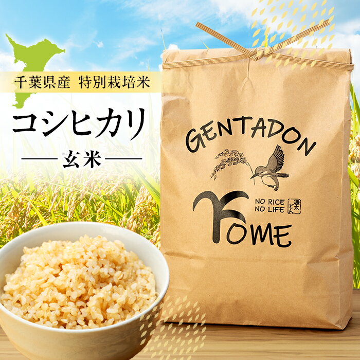 【ふるさと納税】特別栽培米　コシヒカリ（玄米）5kg 〜 30kg 令和7年産米 玄米 米 ふるさと 納税 千葉県 長生村