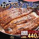 【ふるさと納税】高知県産 養殖うなぎ蒲焼き 2尾（選べる：合計約400g/合計約440g）- 国産 鰻 ウナギ 養殖 かばやき タレ付き たれ おつまみ スタミナ 土用の丑の日 うな丼 うな重 丼ぶり どんぶり 一品 おかず 美味しい おいしい 高知県 香南市【冷凍】