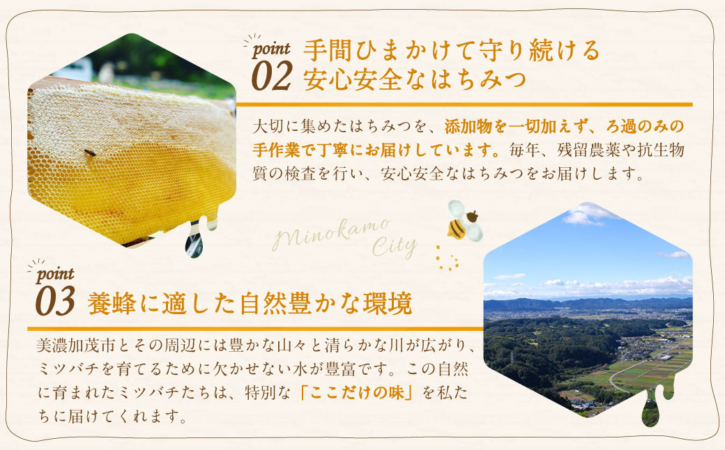 MINOKAMO HONEY はちみつ （ 200g × 3本 ）| 藤井養蜂 蜂蜜 非加熱 百花蜜 国産 たれにくい