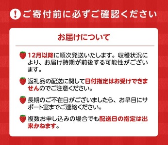 特別栽培 白いちご 天使のいちごと旬のいちご詰め合わせ紅白セット （ふくおかエコ農産物） 約500g _ 旬 いちご 詰め合わせ 紅白セット 2パック入り 約 500g ふくおかエコ農産物 旬のいちご