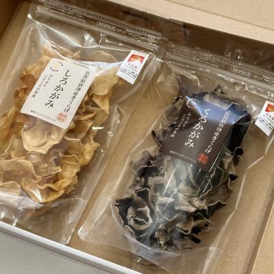ふるさと納税 唐津市 【ノウフクJAS認証】佐賀県唐津市産 乾燥きくらげ(しろかがみ30g・くろかがみ35g) |  | 01
