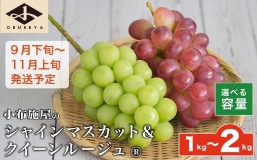 
                  シャインマスカット＆クイーンルージュ_ 約1kg 約2kg 選べる内容量  ［小布施屋］ 果物 フルーツ ぶどう 葡萄 令和8年産【2026年9月下旬～11月上旬発送】
                